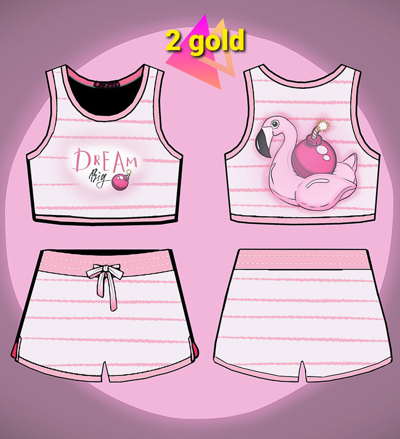 "Dream Big" Flamingo Floaty Set